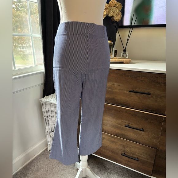 Counterparts Pants - Counterparts Navy and White Striped Pants